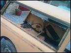 Rusty rear window surrounds